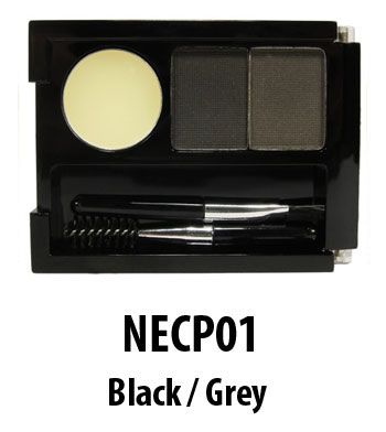 necp01-2
