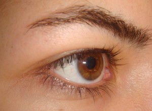DSC02198